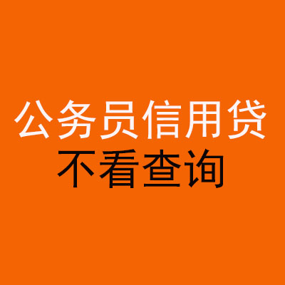 洋县公务员信用贷款